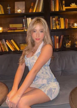 Blue Blush Yummy Mesh Dress ★ Sage