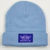 Boys Lie V2 Beanie ★ Periwinkle
